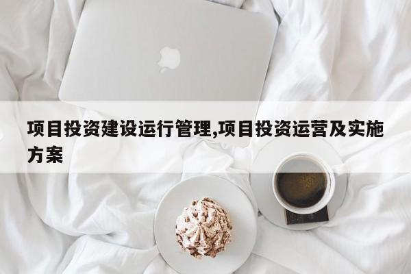 项目投资建设运行管理,项目投资运营及实施方案